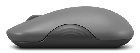 Lenovo 350 Bluetooth Silent Mouse (Luna Grey)