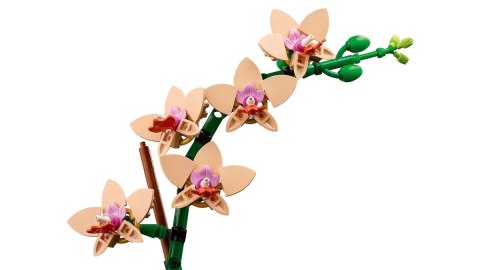 LEGO ICONS 10343 Botanicals - Mała orchidea