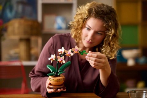 LEGO ICONS 10343 Botanicals - Mała orchidea