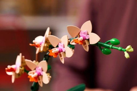LEGO ICONS 10343 Botanicals - Mała orchidea