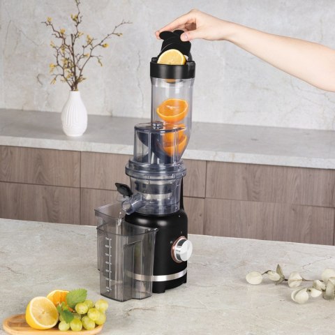 Sokowirówka 300W BerlingerHaus BH-9610 Black Rose