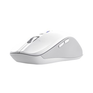 Mysz Trust Ferro wireless White