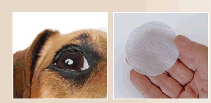 FERPLAST NATURÉ EYES WIPES-husteczki do oczu 120szt