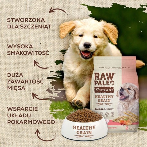 VetExpert Raw Paleo Healthy Grain Salmon&Barley Puppy - Karma sucha dla psów - 10kg (WYPRZEDAŻ)