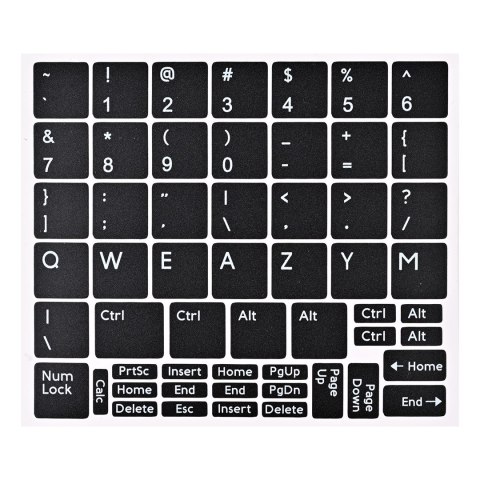 Dell DELL LATITUDE 5430 i5-1235U 16GB 256GB SSD 14" FHD Win11pro + zasilacz UŻYWANY