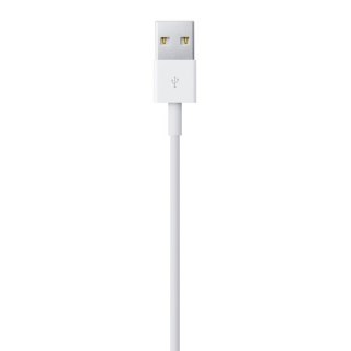 Apple Przewód ze złącza Lightning na USB (2m) MD819ZM/A
