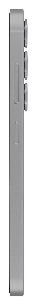 Samsung Samsung Galaxy S25 12/128GB Silver Shadow