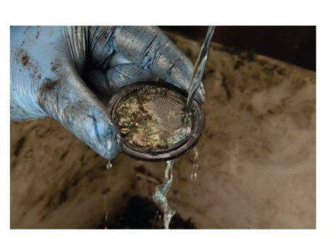 DeWalt Smarownica/Towotnica Aku 18V DCGG571M1 DEWALT