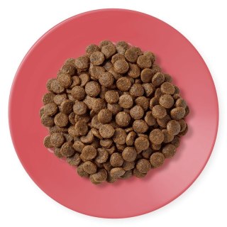 Applaws Cat Dry Chicken with Extra Duck 400g