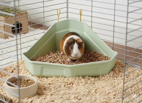 ZOLUX Toaleta narożna dla królika i kawii COSY zielona