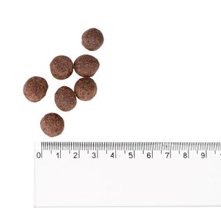 BULT Karma sucha z indykiem dla dorosłych psów 3kg