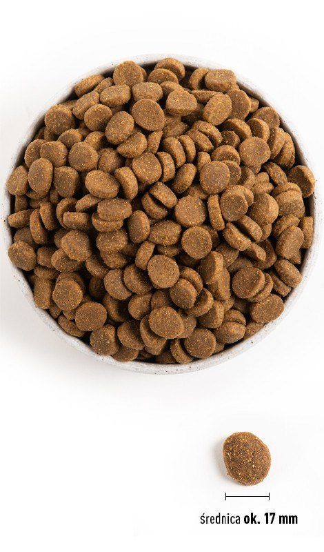 ACANA Heritage Adult Large Breed - sucha karma dla psa - 11,4kg