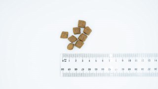 BULT łosoś i pstrąg sucha karma dorosłe psy 12kg