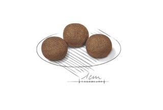 ROYAL CANIN SHN Medium Puppy - sucha karma dla szczeniąt - 15 kg (WYPRZEDAŻ)