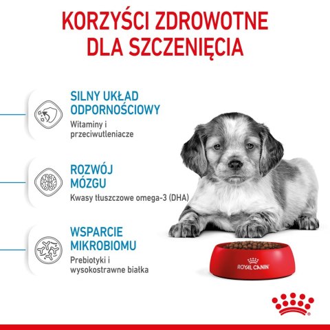 ROYAL CANIN SHN Medium Puppy - sucha karma dla szczeniąt - 15 kg (WYPRZEDAŻ)