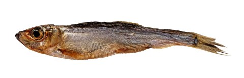 PETITTO Szprotki suszone przysmak dla psa 500g