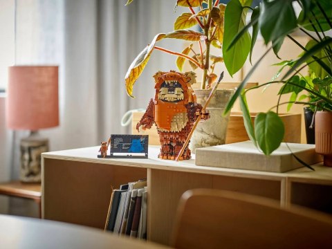 LEGO Star Wars 75430 Ewok Wicket