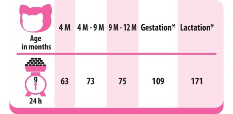 PREVITAL kurczak karma sucha karma kocięta 0,95kg