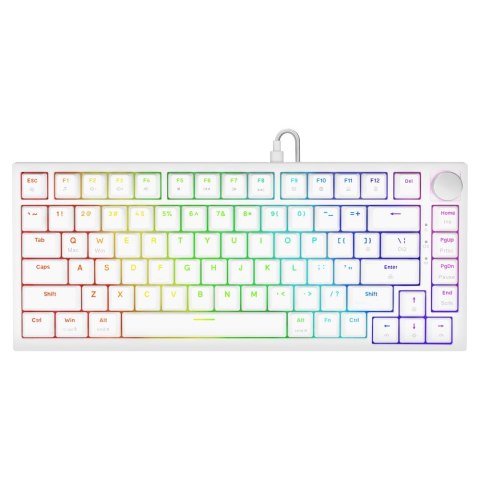 SAVIO KLAWIATURA MECHANICZNA ASTRAL WHITE OUTEMU WHITE JADE RGB